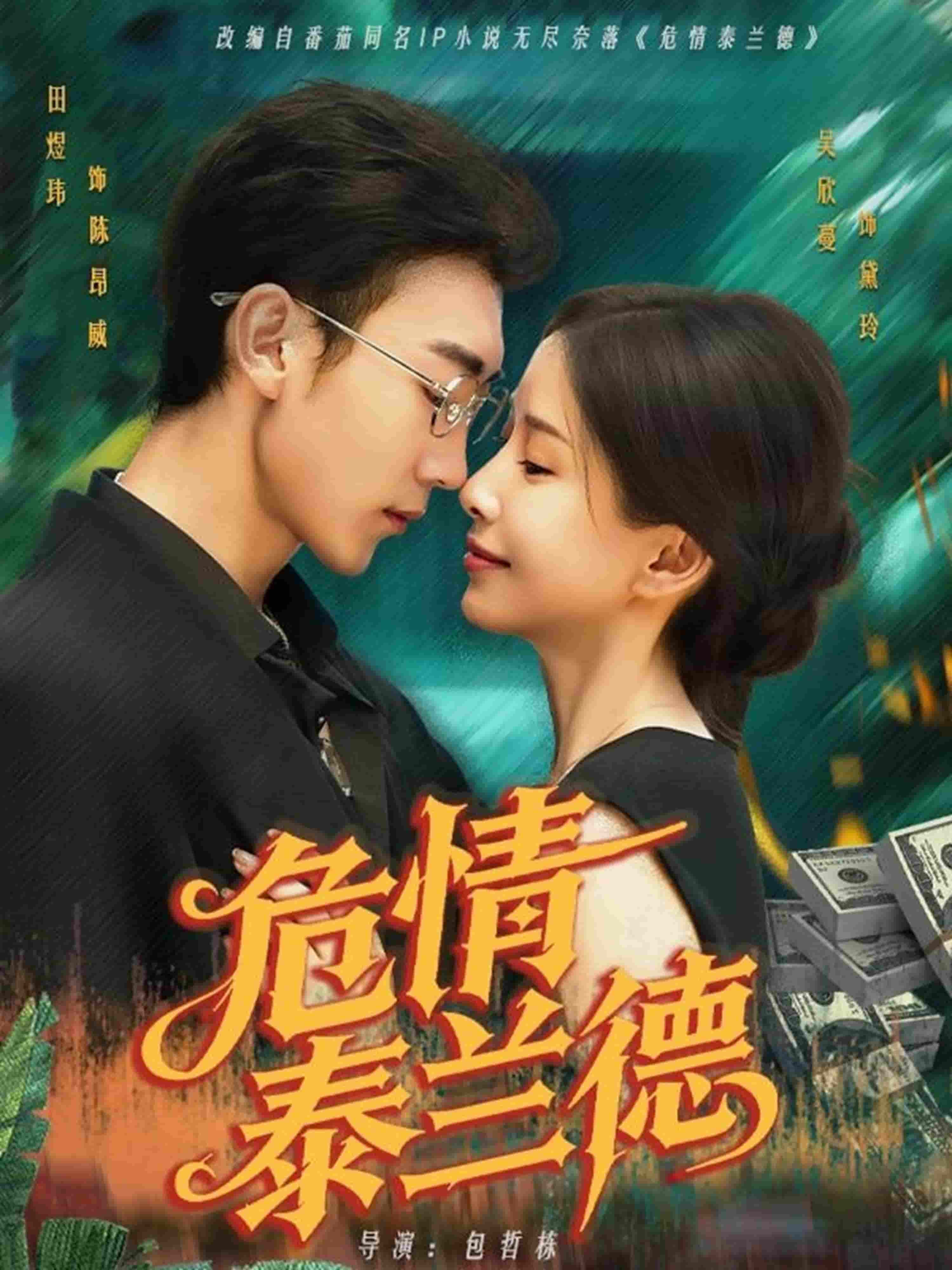 危情泰兰德