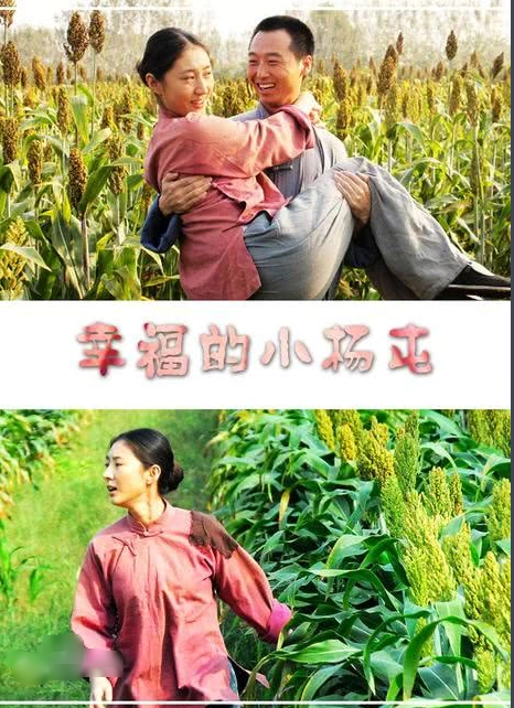 幸福的小杨屯