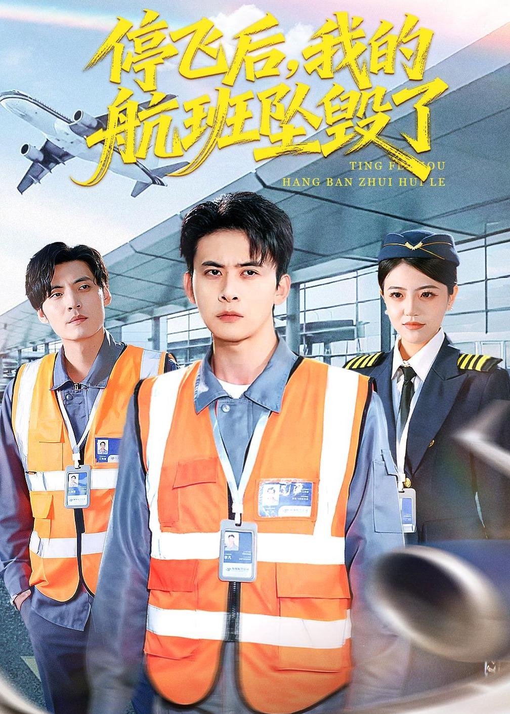 停飞后-我的航班坠毁了