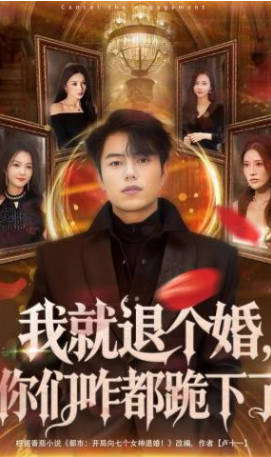 我就退个婚-你们咋都跪下了
