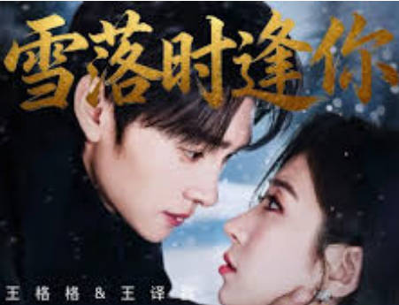 雪落时逢你