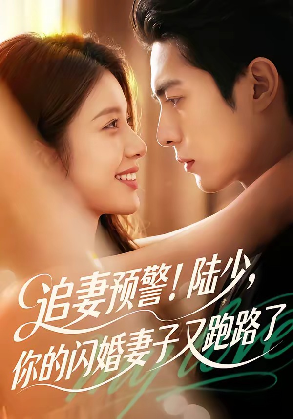 追妻预警-陆少-你的闪婚妻子又跑路了     Ai漫剧
